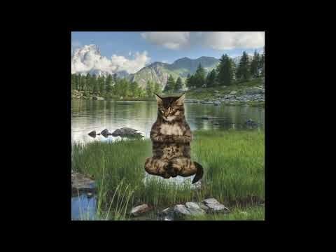 (free) Indie Rock x Indie Pop Type Beat "775323"