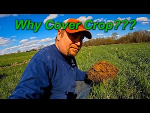 Why Cover Crop??? A Look At Our Soil Improvement.