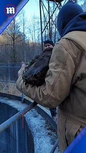 31K views · 109 reactions | When the rock hits rock-bottom  | Daily Mail Video | Facebook