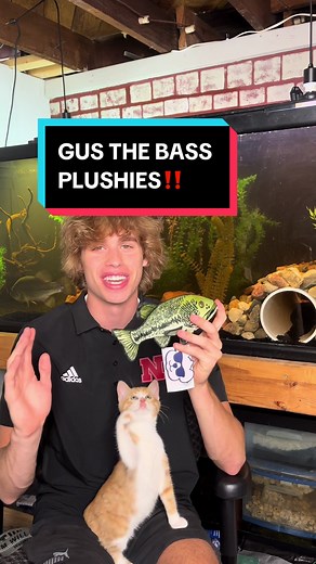 Gus_The_Bass on TikTok