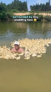 8.2M views · 131K reactions | This has to be the luckiest man alive 殺❤ | The Animal World | Facebook