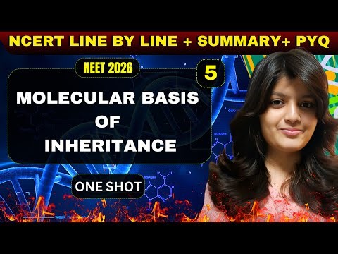 MOLECULAR BASIS OF INHERITANCE CLASS 12 ONE SHOt 🧬 | FULL NCERT + PYQs Solved | NEET 2026