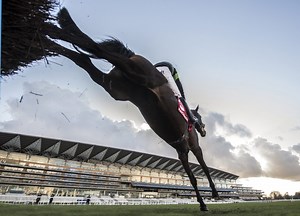 A beginner’s guide to betting on horse racing - Horse & Hound