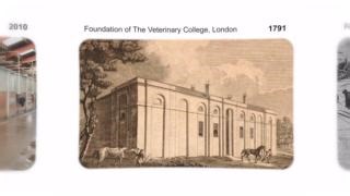 ⚕️ The theme for this years #WorldVeterinaryDay is 'Animal Health Takes a Team'. For over 200 years we've been committed to working together to deliver high-quality veterinary services whilst training the next generation of veterinary teams. ➡️ See our full history timeline at: https://www.rvc.ac.uk/about/the-rvc/history | The Royal Veterinary College (RVC)