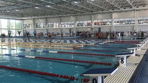 2.5K views · 12 reactions | Official World Transplant Games on Reels | Facebook