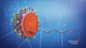 Coronavirus: How scientists track new variants of the virus