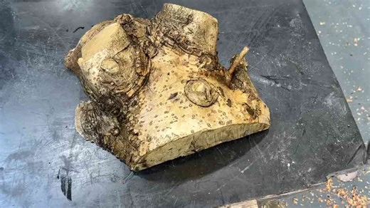 Why This Woodturner Didn’t Give Up on Holey Holly