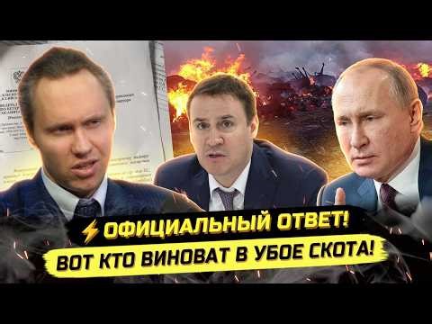 ⚡️СРОЧНО! ОНИ ПРИЗНАЛИСЬ В УБ0Е СКОТА! БЕЗОТВЕТСТВЕННОСТЬ РУКОВОДСТВА!