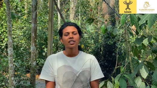 totem India on Instagram: "Vijitha is not just our General Body member, she is a true symbol of dedication. A passionate honey farmer, she pours patience, care, and love into every drop of honey she harvests. Her journey reminds us that when work is driven by passion, it turns into purpose. 🐝🍯 And if you’re looking to taste honey that’s pure, natural, and filled with love straight from the hive, just reach out to us. ☎️ Elanora Wayanad:9539960705📞 Because this isn’t just honey… it’s all about