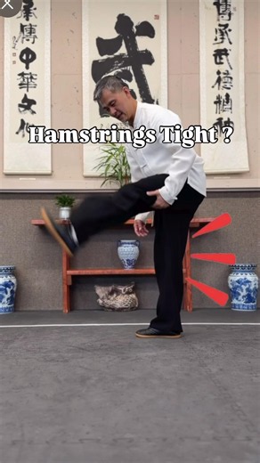 ✅Online Learning and Workshops👉daouniverse.com #taichi #kungfu #taiji #balance #wushu #flexibility