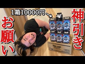 [Resale x Fierce Competition] DUAL EVOLUTION, which has become so popular that a single box is se...