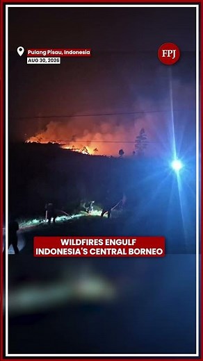 Central Borneo Wildfire Crisis: Pulang Pisau Engulfed as Southeast Asia Haze Worsens