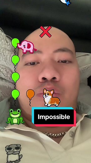 Animal balloons IQ #trend #viral #viralvideo #filterchallenge #trending #viralgame #impossible #challenge