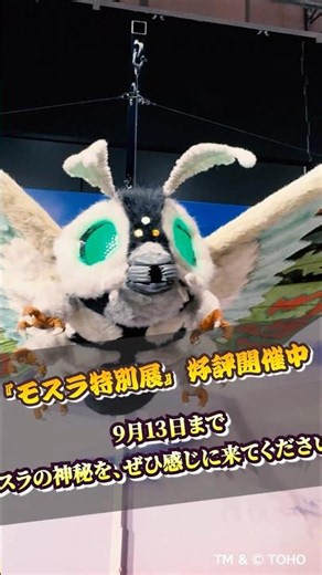 ＼人気投票 第2弾🔥／ 「モスラ特別展」開催記念。 今回のテーマは――“モスラと対峙した怪獣” #ゴジラ #モスラ #怪獣 #特撮 #ニジゲンノモリ #shorts