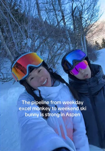 Excel monkey or coding monkey. Take your pick 🐒