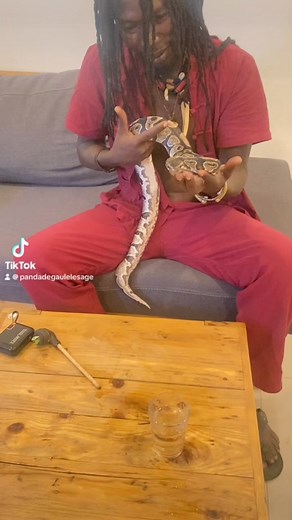 51K views · 609 reactions | Python royal | Degaule PANDA le fou sage | Facebook