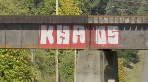 City of Nanaimo forces graffiti vandal to pay more than $15,000 in fines, damages