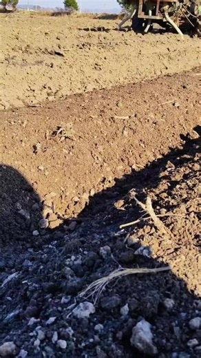 东北农村的春天，拖拉机🚜在田间劳作，满满的乡土气息#新农人计划 #抖音助农扶农 #新农人创业 #农机耕地 @抖音小助手 @抖音 @抖音AI资讯 @DOU 小助手 @抖音娱乐 @抖音创作者大会