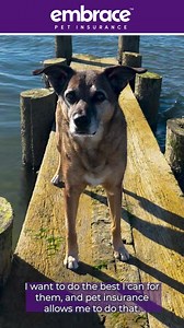 Don’t wait for the unexpected! Find out why Embrace customers were glad they had coverage in place. | Embrace Pet Insurance
