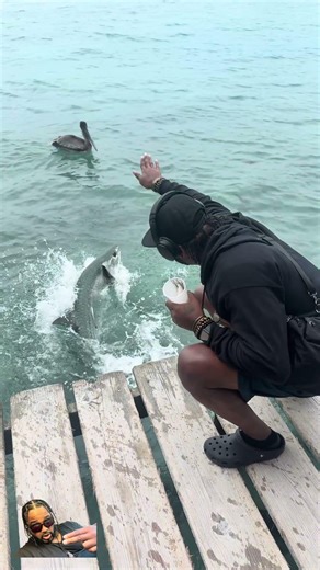 DA JUMPMAN Fish 🐟🇧🇿 | Caye Caulker Belize Slow Motion LOL 😂🏝️