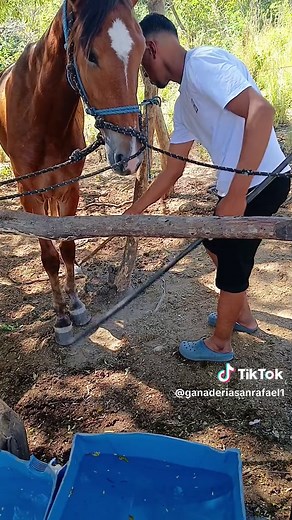 Transformando la ganadería en la Finca San Rafael