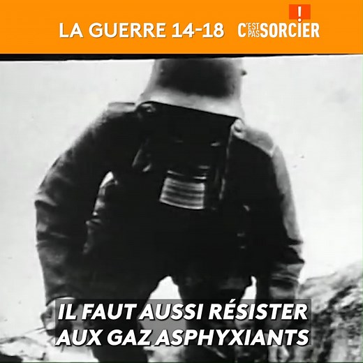 Petit cours d'histoire en ce jour d'Armistice ! | C'est pas sorcier