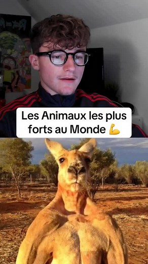 Les animaux les plus forts au monde #animaux #animal | Nathan Quiz