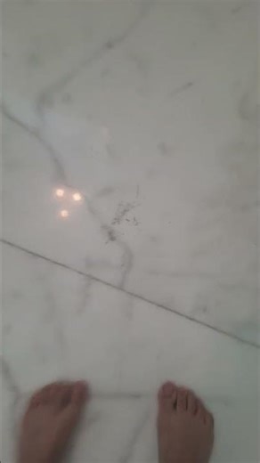 ١١ مارس ٢٠٢٦