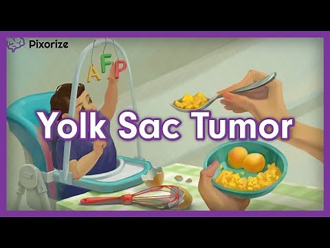 Yolk Sac Tumor (Endodermal Sinus Tumor) | Mnemonic for USMLE