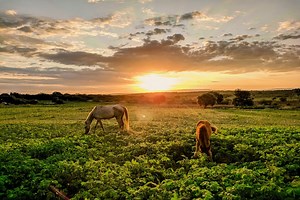 6 Luxury Dude Ranches To Add To Your Travel Bucketlist - Travel Noire