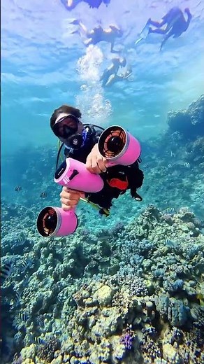 Underwater Paradise 🌊🐠 | Colorful Fish & Deep Sea Adventure