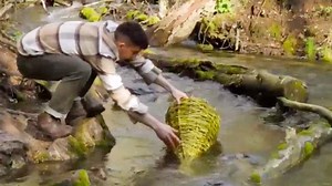 Extreme survival hacks to use in wildlife 🏕️🐟 | Wood Mood