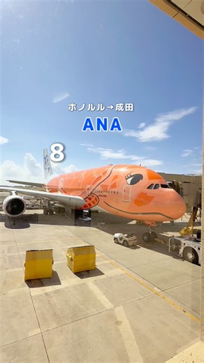 𝐂𝐨𝐜𝐨✈︎年間70ホテル泊の沖縄発旅女 | 念願のホヌ🐢の正直レポ✈️ ホヌでのフライトがどんな感じだったのか？ 食事や座席シートなど紹介😊 機内食は1回目は美味しかった🍽️ 久々のそうめんもよかった✨ 飲み物でスープも選べたんやけど 国内線のコンソメスープと違って 野菜スープでこれはリピなしでした😂... | Instagram