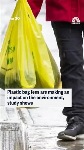 Plastic bag fees are making an impact on the environment, study shows