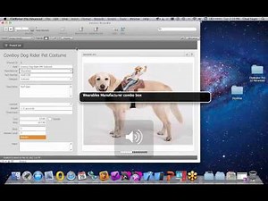 12 Days of FileMaker 12 Series -- Bonus Webinar 15: Accessibility Section 508