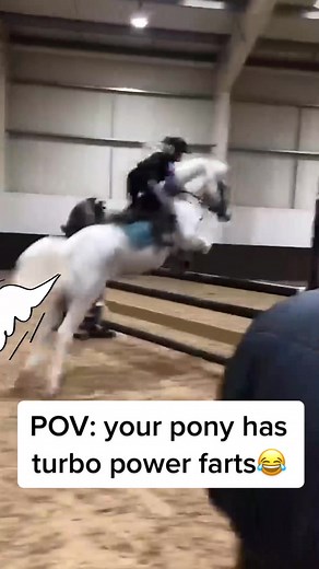Hilarious Horse Farting While Jumping Compilation