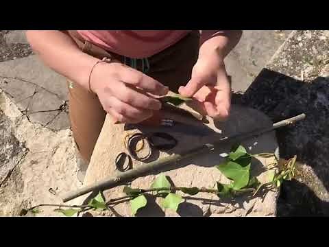 Tuto Nature - Fabrication d'un instrument de musique