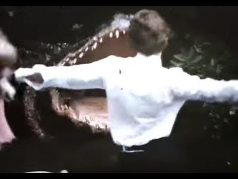 Alligator (1980) - Trailer