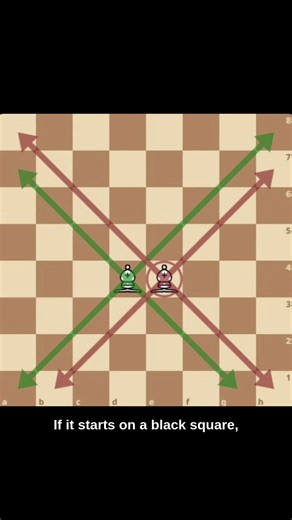 This Is How Bishops Actually Work