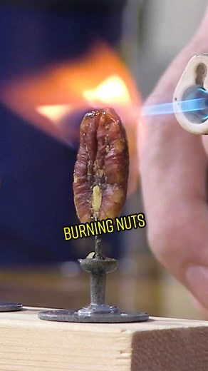 Exploring the Science of Burning Nuts