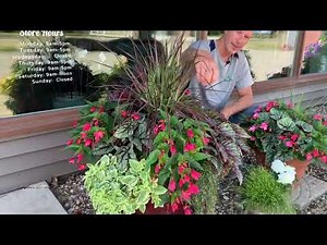 Great Plants For Shade - What Plants and Flowers Thrive in Low Light Areas