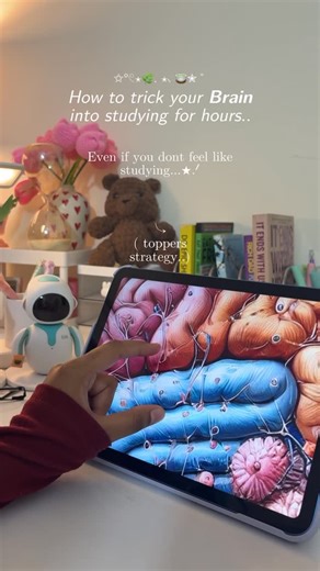 ⋆.𐙚 ̊ vidzy ⊹ ࣪ ˖ Studygram on Instagram: "The 🪷LOTUS Method is all about training your brain to handle tough things without feeling overwhelmed. If we’re gonna use it to force your brain to study, here’s a step-by-step guide Last one is most important ! L - Link to Motivation 🌟 Before starting, link studying to something that excites you Ask yourself: Why is this important for me? (Maybe a career goal, acing exams, or impressing someone—you!) Visualize the end result. Like, imagine smashing