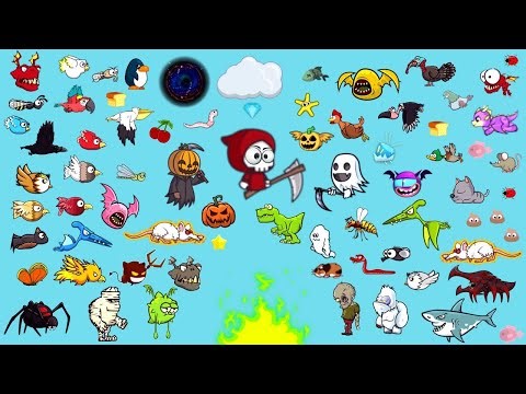 Flyordie WR ASMR (Portrait)