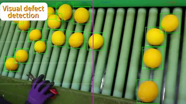 Defect detection of circular-shaped fruits based on machine vision#machinevision #deeplearning #visualinspection #3d #intelligent #technology #automation