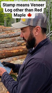 398K views · 2.5K reactions | Grading Hardwood Log! Little Log education 蝹 #forestry #Log #LOGGERMACK | Logger Mack | Facebook
