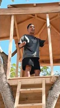 Casa de árbol: By Alfredo Larin