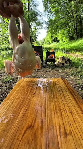 Whole Chicken Fire Pit 🔥 #Chicken #forestcooking #cooking #cookingasmr #outdoorcooking