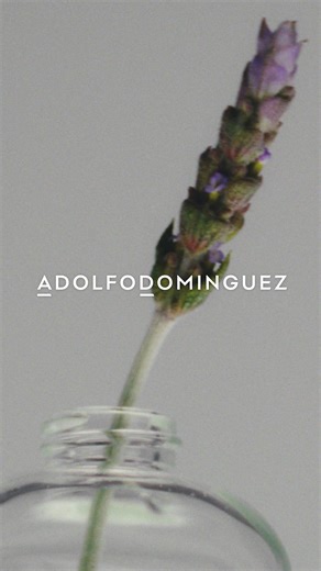 El ciclo. Donde un inicio no conozca fin. Donde un perfume sólo sea el comienzo. #AdolfoDomínguezPerfumes #ecodesignadolfodomínguez | Adolfo Dominguez