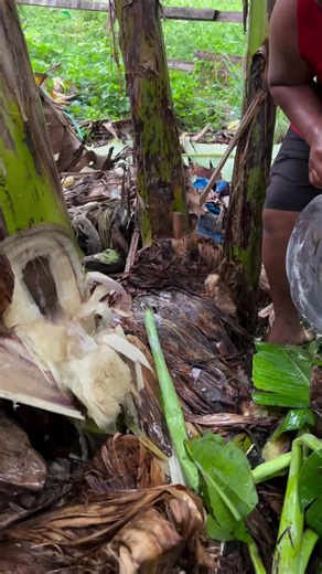 Effective Fishing Bait Techniques for Sea Fishing