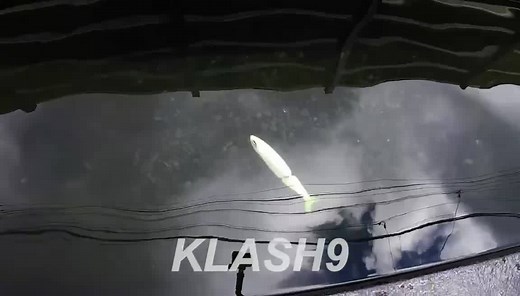 DRT Klash. Deadwalk. (video: drtheadz) #heroorzero #swimbaitunderground | Swimbait Underground